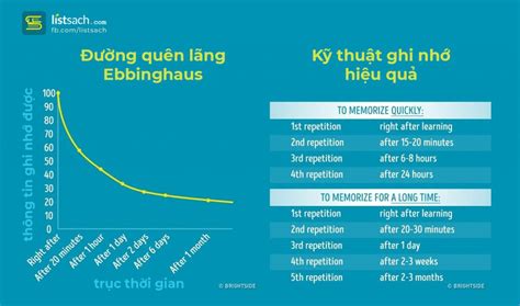 Cách ghi nhớ nhanh, hiệu quả với đường quên lãng Ebbinghaus
