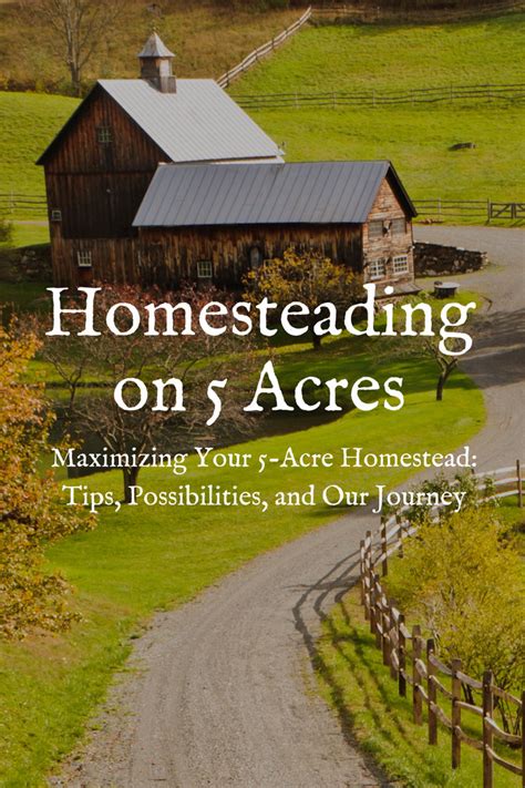 Homesteading On 5 Acres How To Maximize Your Land In 2024