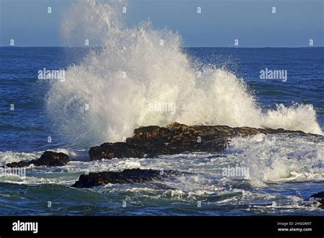 Rough sea at the rocks of Bird Island, South Africa, Western Cape, Lamberts Bay Stock Photo - Alamy