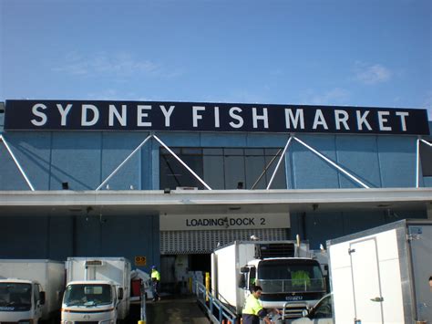 Skinny Decadence: SYDNEY FISH MARKET