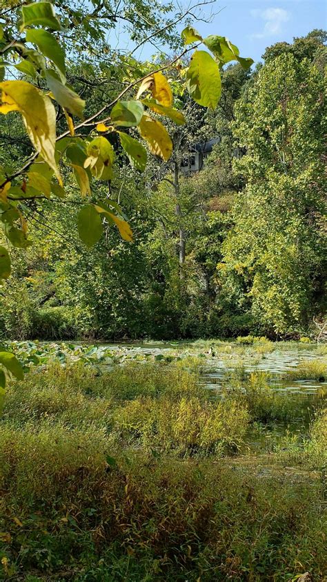 Photos of Springfield Conservation Nature Center Trail Loop - Missouri ...