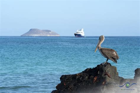 Ultimate Packing List For A Cruise In The Galapagos Islands - Ecoventura