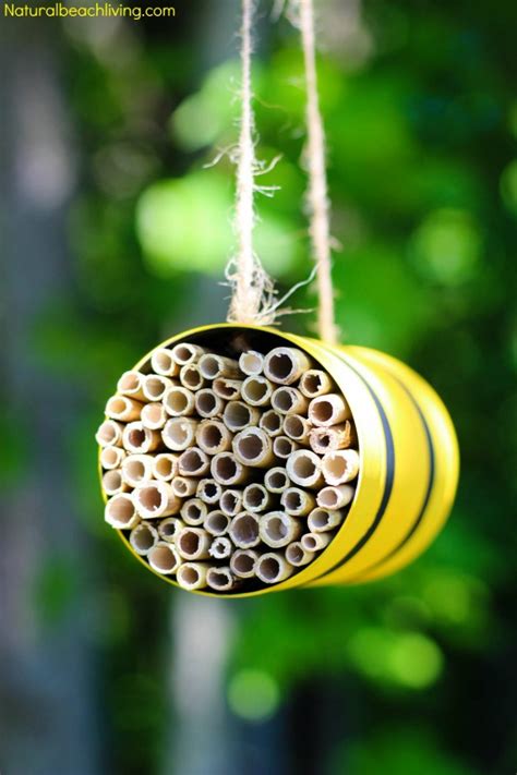 How to Make a Mason Bee Habitat - Perfect Life Cycle of a Bee Activities - Natural Beach Living