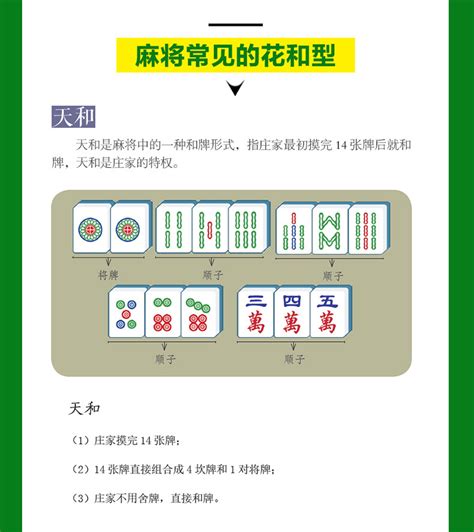 零基础学麻将麻将初学图解基础 伤感说说吧