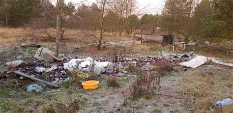 Koszmarne warunki w Wielgowie leczyła koty ludzkimi lekami martwe