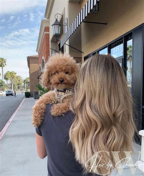 Blonde Balayage On Light Brown Hair In 2024 Dark Roots Blonde Hair