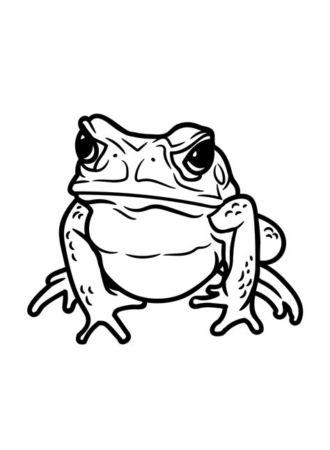 Toad Coloring Pages Printable For Free Download