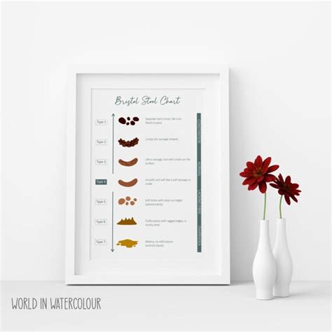 Bristol Stool Chart - Etsy