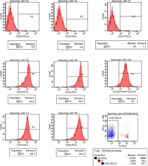 Positive expression of mesenchymal stem cell markers (CD105, CD73,... | Download Scientific Diagram