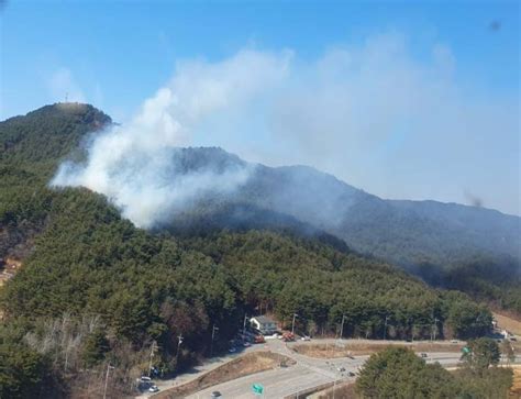 강원 고성 산불 30분 만에 진화인명피해 없어 연합뉴스