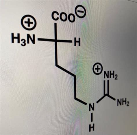 Solved COO 叶 H2N H CH3 cooC H3N H NH2 NH2 Iz Chegg