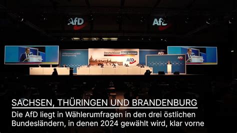 Umfrage AfD in Thüringen Sachsen und Brandenburg weit vorn