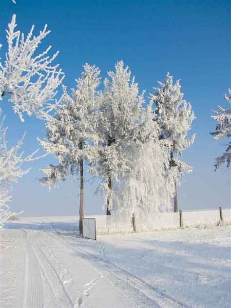 Gate Snow Poland - Free photo on Pixabay