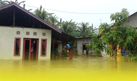 Rumah Terendam Banjir Warga Batang Dua Bertahan Borero Id