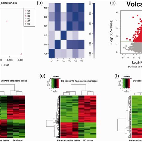 Expression Pattern Analysis Of Differentially Expressed Mrnas In Breast Download Scientific