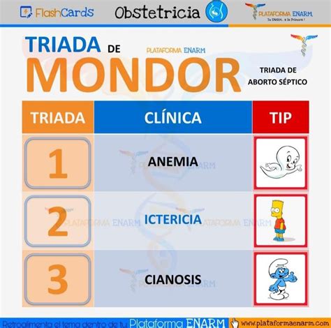 Pin En Medicina Humana