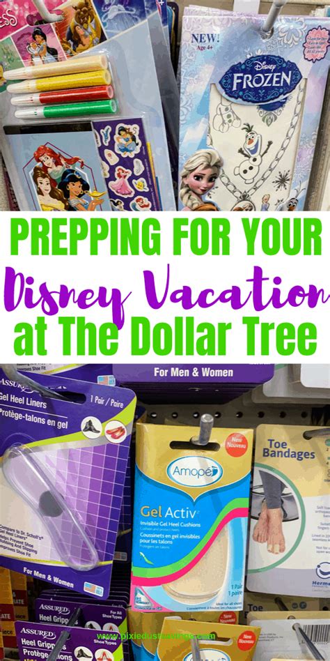 25 Things To Buy At Dollar Tree Before Your Disney Trip Artofit