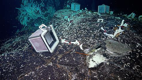 El Inframundo De Los Respiraderos Hidrotermales Vista Al Mar