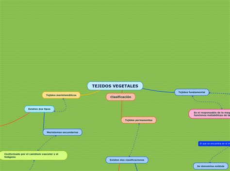 TEJIDOS VEGETALES Mind Map