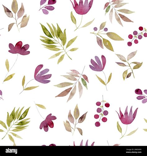 Watercolor botanical illustration Stock Photo - Alamy