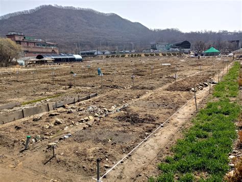 밤일마을 관광 정보와 주변 관광 명소 및 근처 맛집 여행 정보