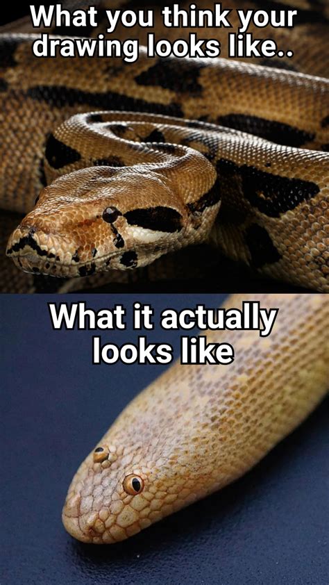 Im A Snek R Memes