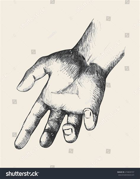 Sketch Illustration Of A Reaching Hand Shutterstock