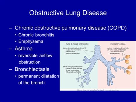 Lecture Obstructive Lung Disease Patho Flashcards Quizlet