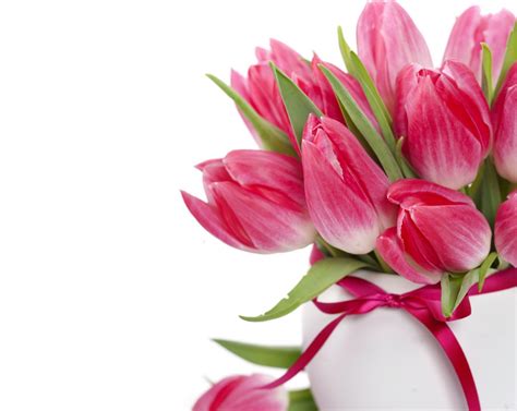 Wallpaper Tulips Flowers Bouquet Vase Bow Flower Buds 2550x2030