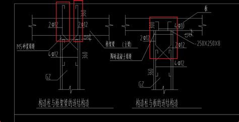 请问老师：如下图所示，构造柱与框架梁和板连接的2c12 4c12的钢筋应该怎么布 服务新干线答疑解惑