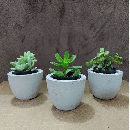 Kit Vaso Para Decora O Vasinho Forma Cuia De Cimento Planta