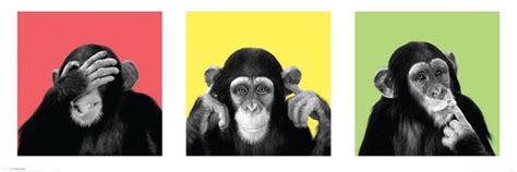 Monkeys - see no evil, hear no evil, speak no evil Poster | Sold at Europosters