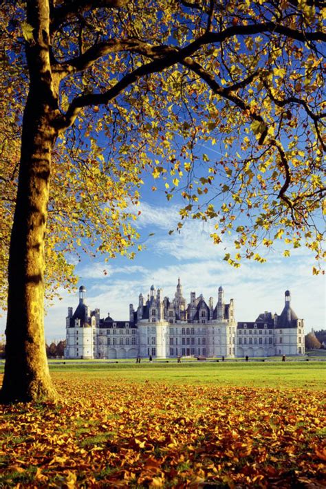 Solve Castelo de Chambord França jigsaw puzzle online with 70 pieces