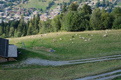 T L Si Ge Du Cr T Du Merle La Clusaz Guilhem Vellut Flickr