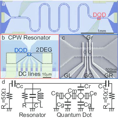 Color Online A Optical Microscope Image Of The Coupled Dqd Cpw