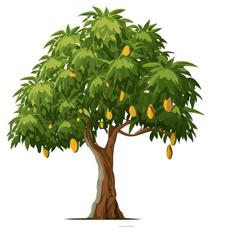 Mango tree transparent background,Ai generative 25164911 PNG