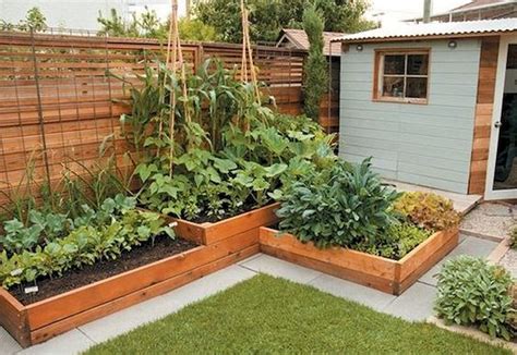 Small Vegetable Garden Ideas On A Budget All About Hobby