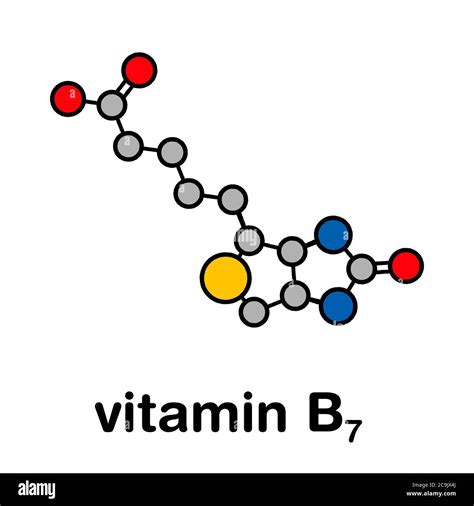 Biotine Fotograf As E Im Genes De Alta Resoluci N Alamy