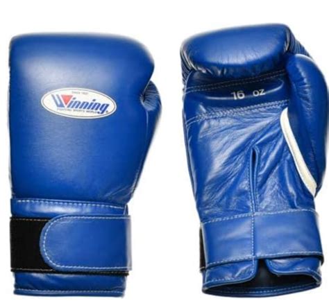 The Best MMA Gloves: From Beginners to Professionals - Absolute MMA