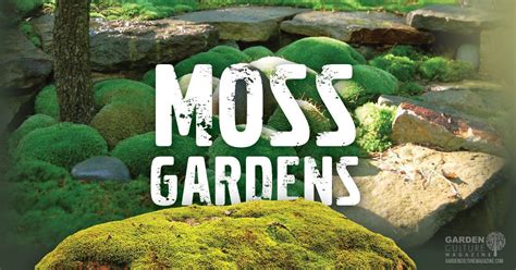 How To Grow A Moss Garden Garden Culture Magazine