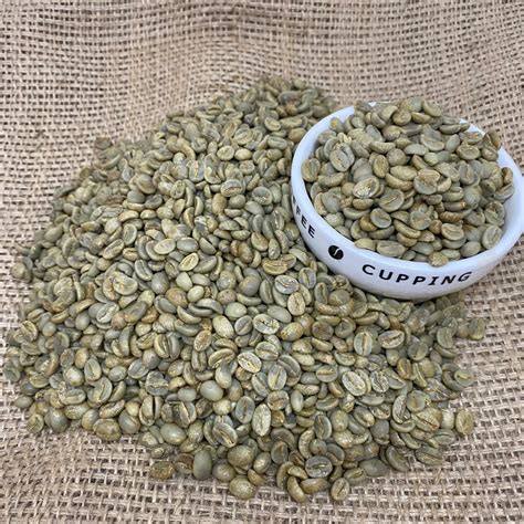 Arabica Green Coffee Beans High Quality Catimor Arabica Green Coffee