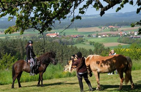 Rosserer Unterwegs Besucher Rekord Beim Sternritt Bayreuther Land