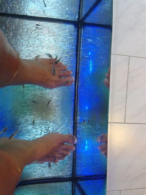 My 1st Fish Pedicure Hmmmmmm | Fish pedicure, Greece travel, Greece