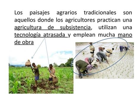 Tema Los Paisajes Agrarios Ppt