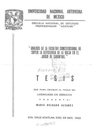 Analisis De La Facultad Constitucional De Suplir La Deficiencia De La