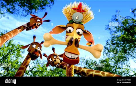 Madagascar 2 film hi-res stock photography and images - Alamy