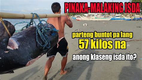 PINAKA MALAKING ISDANG NAHULI NGAYON SA LUGAR NAMIN JACKPOT YouTube