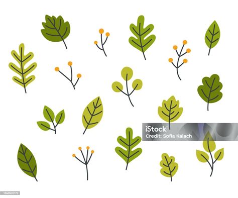 Green Leaves Collection Plant Parts Doodle Set Bundle Of Botanical