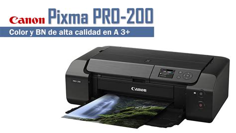 Canon Pixma Pro 200 A 3 De Calidad En Blanco Y Negro Y Color