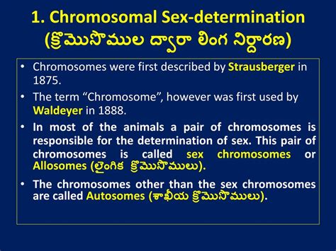 Ppt Sex Determination లింగ నిర్దారణ Powerpoint Presentation Id 597194